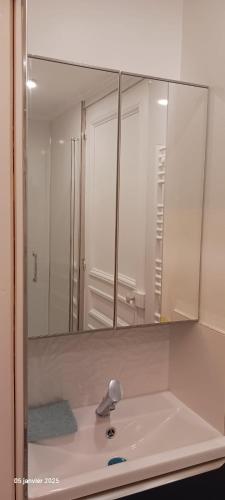 une salle de bain avec un lavabo et un miroir dans l'établissement Ternes - Parisian appartment, à Paris