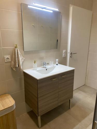 une salle de bain avec un lavabo et un miroir dans l'établissement Nice virgil Barel, à Nice