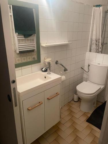a bathroom with a toilet and a sink and a mirror at Belle chambre en bois chez Antoine in Montpellier