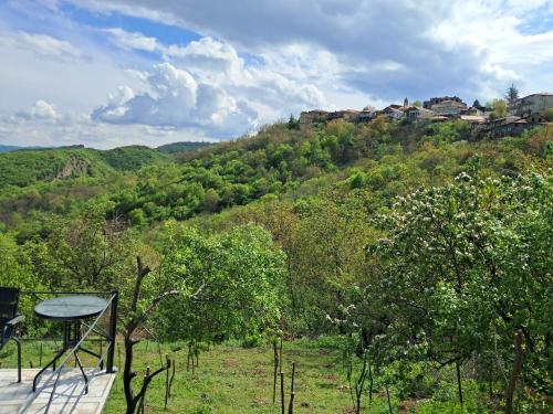 a room with a view of a hill with trees at Green House მწვანე სახლი in Sighnaghi