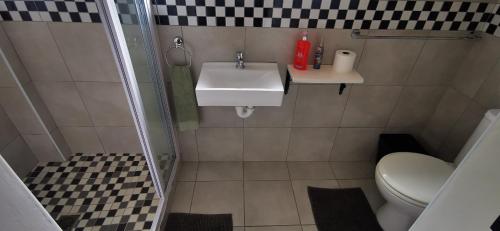 a small bathroom with a toilet and a sink at Hermanus Backpackers & Budget Accommodation in Hermanus