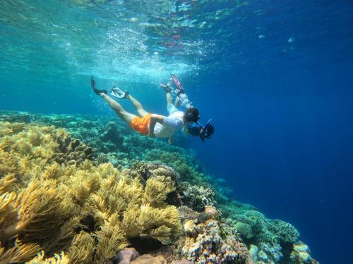 a man is swimming over a coral reef at Wambuliga Homestay in Waha