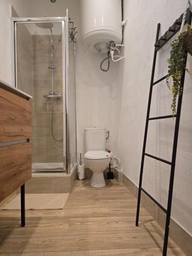 La salle de bains est pourvue de toilettes, d'une douche et d'une échelle. dans l'établissement Moderne et lumineux provençal, à Belgentier