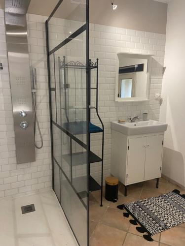 une douche en verre dans une salle de bain avec un lavabo dans l'établissement Sublime villa climatisée Arles, à Arles