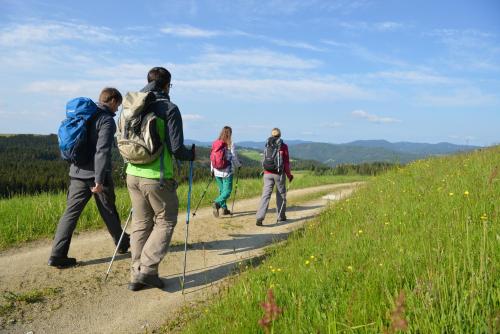 a group of people walking down a dirt road at Ferienwohnung mit Garten in ruhiger Lage am Waldrand in Pöllauberg