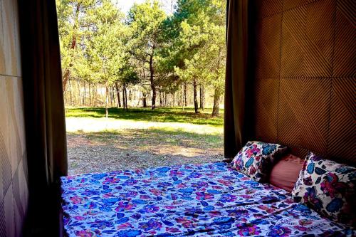 Leśny Raj - Samotnia