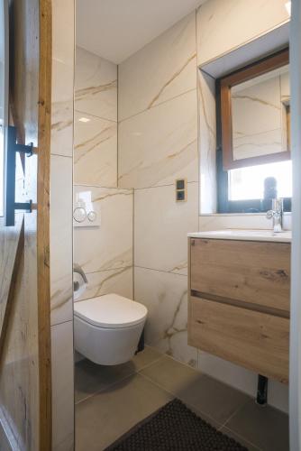 a bathroom with a toilet and a sink and a mirror at Cozy suite with new shower near Popodium 013 in Tilburg