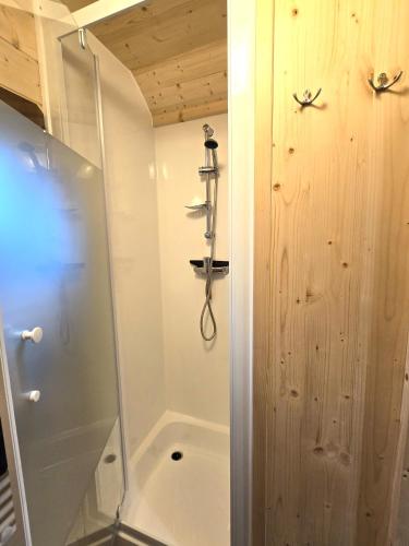 a shower with a glass door in a bathroom at Bett und Bike Bergen in Elsterheide