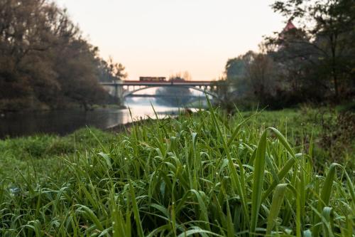 a field of grass with a bridge in the background at Apartament Bulwary 36 in Oświęcim