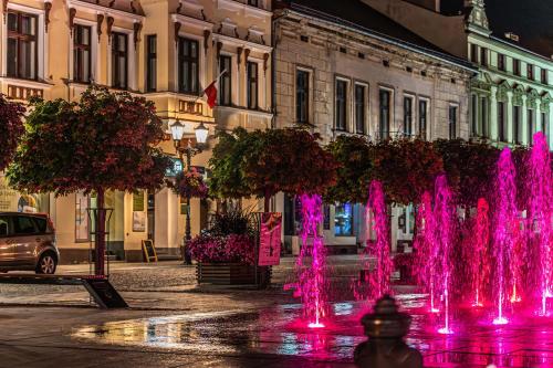 a group of pink fountains in front of a building at Apartament Bulwary 36 in Oświęcim