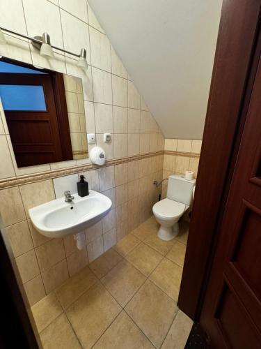 a bathroom with a sink and a toilet at Siedlisko Dąb w Lubogoszczy koło Sławy in Sława