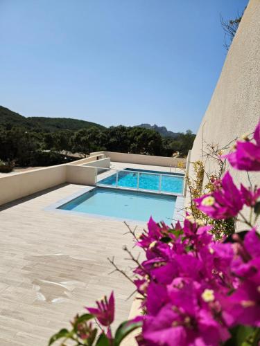 - une piscine avec des fleurs violettes en face dans l'établissement Padolo - 5min du Port de Bonifacio, à Bonifacio
