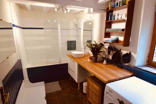a small bathroom with a sink and a shower at Charmante longère en plein coeur du Perche in La Patrie