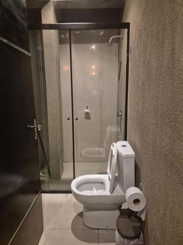 a bathroom with a toilet with a glass shower stall at LOFT COSTANERA 200mts in Encarnación