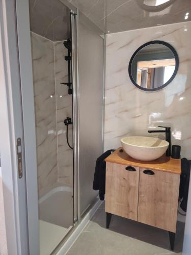 une salle de bain avec un lavabo et une douche dans l'établissement Le Petit Haras de Valmont, à Valmont