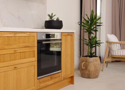 a kitchen with a wooden cabinet with a black oven at Pnoe Villas Syros in Megas Yialos-Nites
