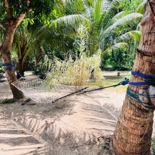 a hammock is tied to a palm tree at Hanguk Lanka Lagoon Villa in Tangalle
