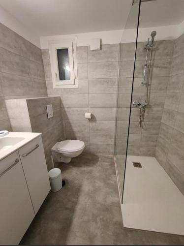 une salle de bain avec toilettes et douche en verre dans l'établissement Appartement 32 - Résidence les Hameaux de Saint Cyprien, à Lecci