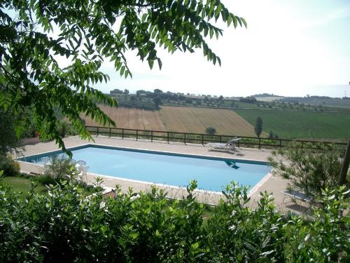 a swimming pool with a view of a vineyard at Marco & Andrea Agriturismo Collepina in Amelia