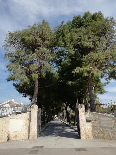a tree lined street with a fence and trees at Casa di Ospitalità religiosa San Francesco d'Assisi - BA in Bari