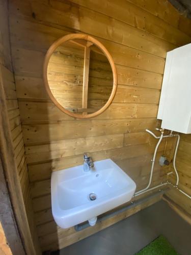 une salle de bain avec un lavabo et un miroir dans l'établissement Les Pichies, Bateau insolite, Le Nathalie Nath, à Saint-Léger-sur-Vouzance