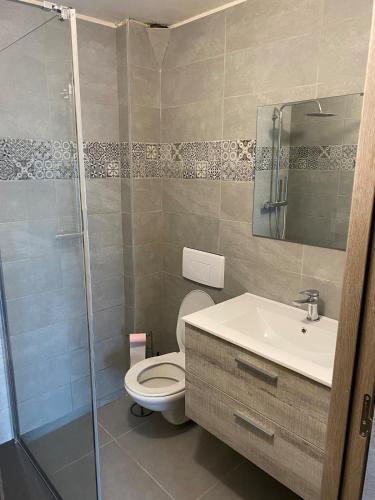 une salle de bain avec toilettes, lavabo et douche dans l'établissement Les Brises, à Saint-Gingolph