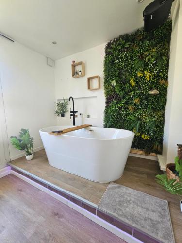 1989 Australie, baignoire ilot et video projecteur