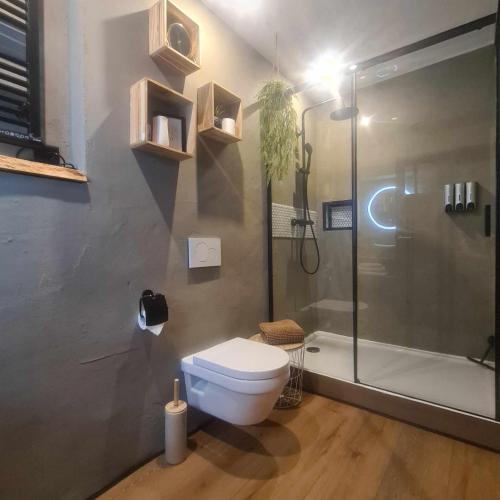 a bathroom with a shower and a toilet and a glass shower stall at Feel at Home - Holiday Studio in Gulpen
