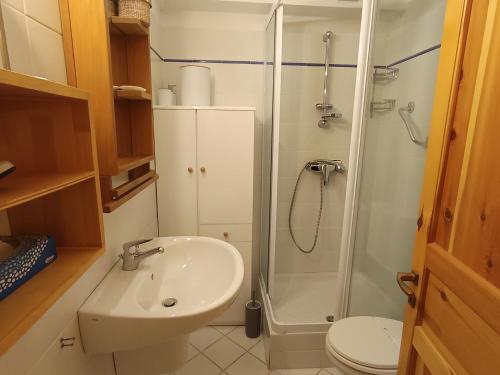 une salle de bain avec une douche, un lavabo et des toilettes dans l'établissement Studio cosy avec terrasse, jardin, proche pistes et commerces à Montgenèvre - FR-1-445-188, à Montgenèvre