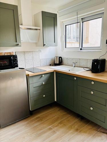 une cuisine avec des armoires vertes et un évier dans l'établissement Escapade au soleil studio au calme avec parking, à Cagnes-sur-Mer