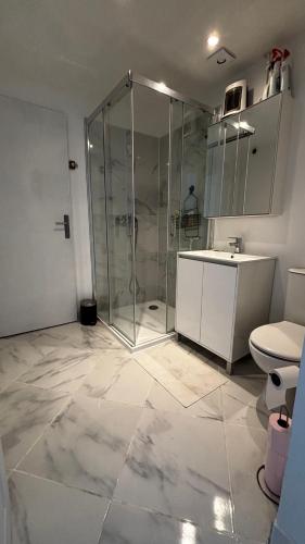 une salle de bain avec une douche en verre et des toilettes dans l'établissement Escapade au soleil studio au calme avec parking, à Cagnes-sur-Mer