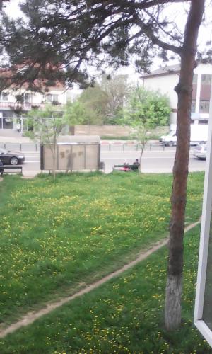Κήπος έξω από το Apartament Dani