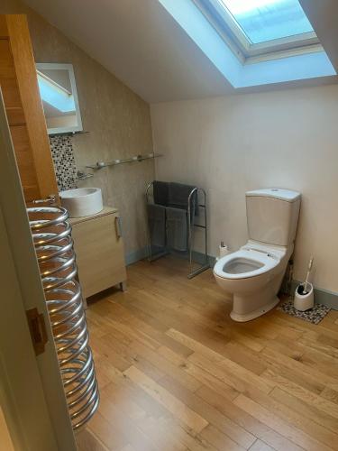 a bathroom with a toilet and a sink and a skylight at Large Stunning Sea View Coastal Townhouse in Killough