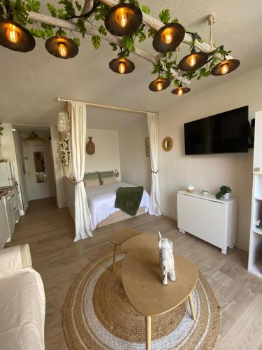 Studio entièrement rénové avec grande terrasse pour 4 personnes - Cap d'agde