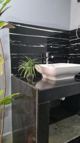 a bathroom sink with a potted plant on a counter at Palm Trees Ayurvedic Heritage in Patnem