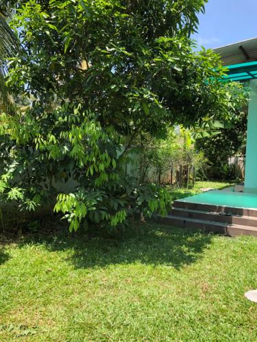 a tree in front of a house with a pool at Haven house with AC in Kamburugamuwa