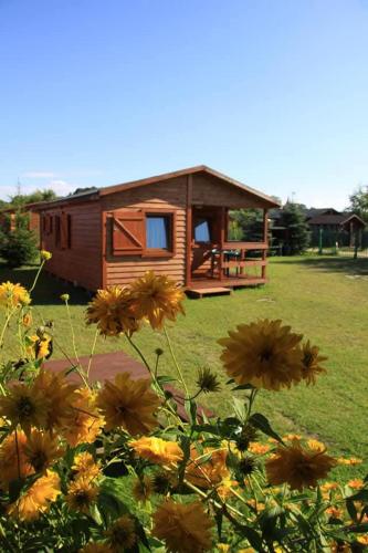 Sunset - Domki letniskowe w Rusinowie