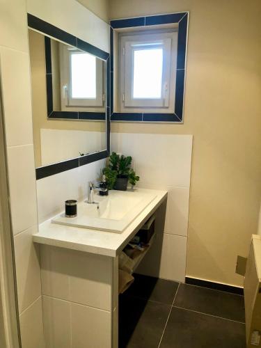 une salle de bain avec un lavabo et un miroir dans l'établissement Beautiful Cottage, à Montayral