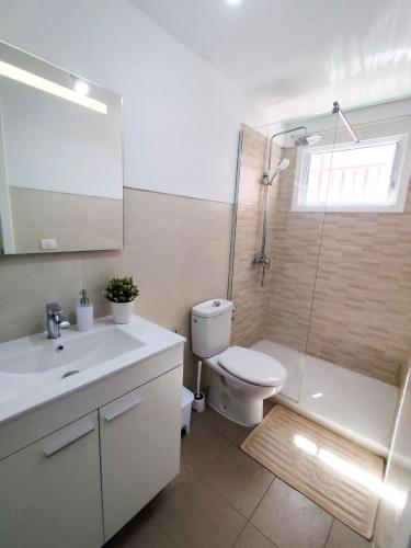 a bathroom with a toilet and a shower and a sink at Dúplex Casa Nerea in Santa Cruz de la Palma