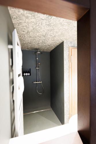 a walk in shower in a bathroom with green walls at Boutiquehotel Ochsen in Lenzkirch