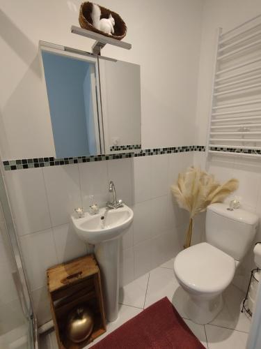 une salle de bain avec toilettes, lavabo et miroir dans l'établissement Perle, à Dammarie-les-Lys