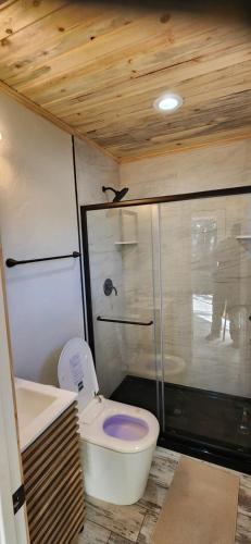 a small bathroom with a toilet and a shower at Rustic Treehouse in Peyton