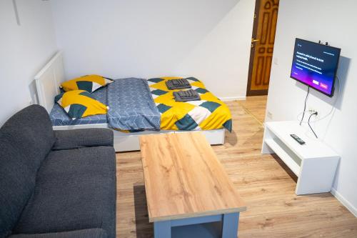 un soggiorno con un divano e un letto di Studio Targoviste a Târgovişte