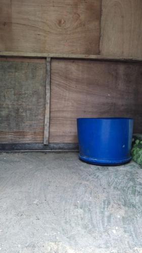 Фотография из галереи Angganeti Homestay в городе Myanef