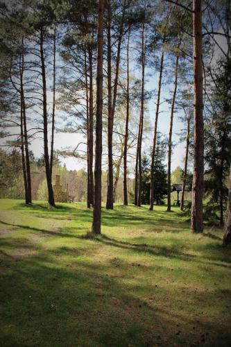 Příroda nedaleko prázdninového domu