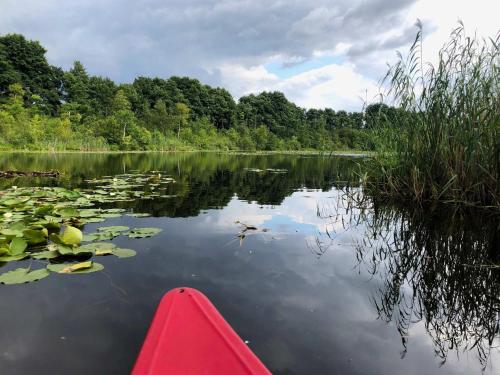 a red boat on a lake with lilies at Gut Pälitzhof in Wustrow