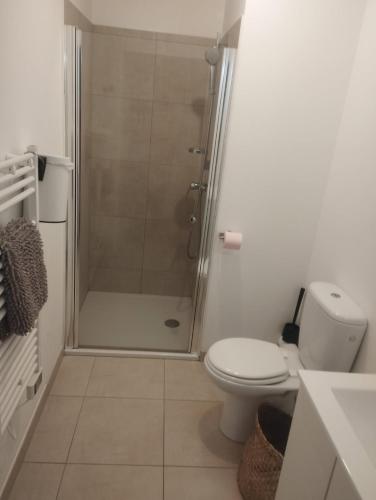 une salle de bain avec une douche avec des toilettes et un lavabo dans l'établissement T2 Waterfront Linguizzetta, à Linguizzetta