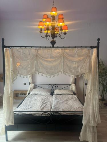 a bedroom with a canopy bed with a chandelier at Loft-Style im Bremer Zentrum in Bremen