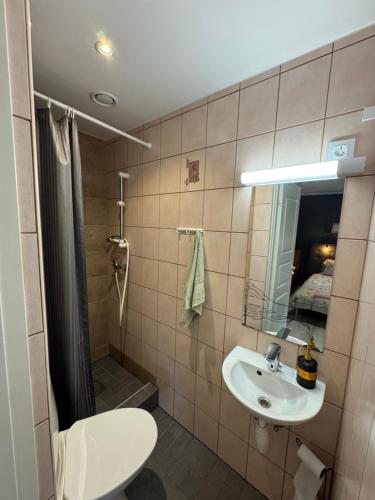 un bagno con lavandino, WC e specchio di Jaani Accommodation 2 a Pärnu