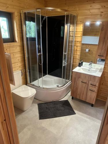 a bathroom with a shower and a toilet and a sink at Dolina Bella - domek z balią, basenem, sauną i klimatyzacją w sercu Kaszub in Gołubie